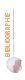 Bibliographie