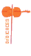 D�dicaces